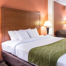 Comfort Inn & Suites Airport Convention Center - Motels