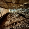 Animas Crawlspace gallery
