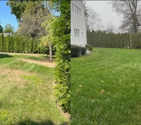 Lucky Lawn - Stamford, CT