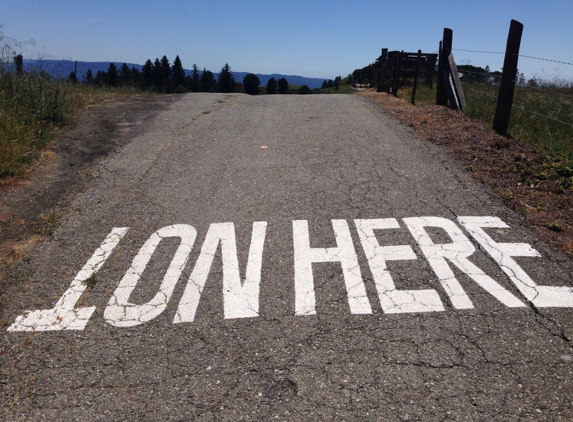 Djerassi Resident Artists Program - Redwood City, CA