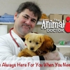 The Animal Doctor gallery