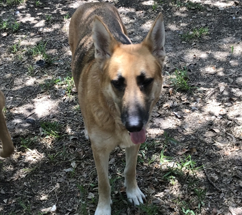 Safari Veterinary Care Center - League City, TX. Milady highly recommends Safari & Dr. Willis! ����❤️����