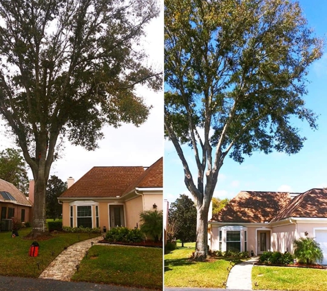 Kats Tree Service - Edgewater, FL