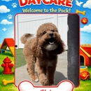 The Dog Stop - Katy - Pet Services