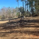 Century Tree and Mulching - Tree Service