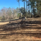 Century Tree and Mulching