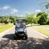 Cart Nation gallery