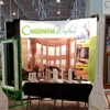 Regency Plus Windows gallery