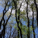 Iroquois National Wildlife Refuge - Parks