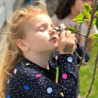 Heritage Montessori School of Newport Beach - Costa Mesa