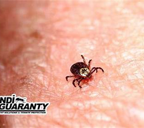 Dandi Guaranty Pest Solutions & Termite Protection - Tulsa, OK