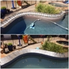 South Texas Pool Tile Cleaning gallery