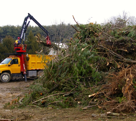 Arborist Enterprises, Inc. - Manheim, PA