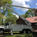 Randy's Tree Service - Tree Service