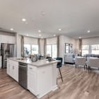 Nolen Farm by Meritage Homes