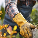 Family Tree Service - Tree Service