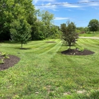 Pristine Green Lawn Care & Landscaping