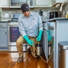 Evergreen Pest Solutions gallery