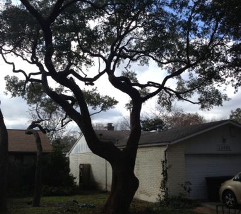 The Tree Guy - San Antonio, TX