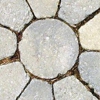 Paver Rescue gallery