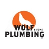 Wolf & Sons Plumbing LLC gallery