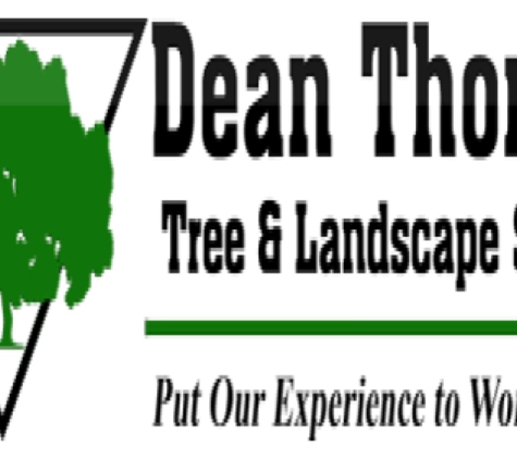 Dean Thomas Tree Service - Pittsburgh, PA