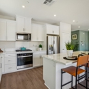 The Collection at Campanile by D.R. Horton - Home Builders