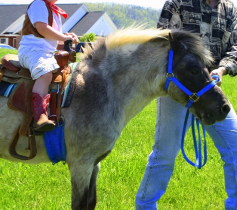 Daisy's Clowns & Entertainers - Maryville, TN