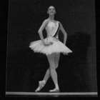 The New York Ballet Institute