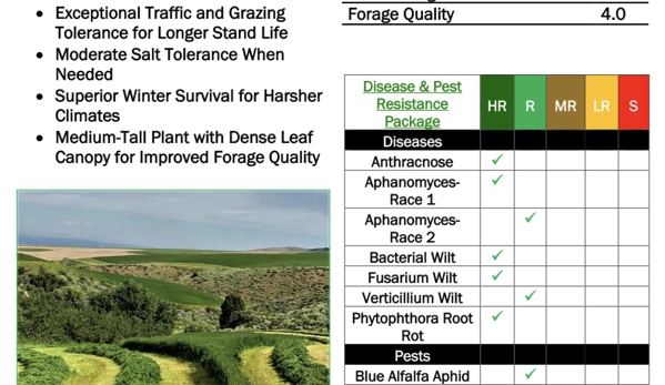 Gem State Seed - Nampa, ID. DT300 Alfalfa Tech Sheet.  Drought Tolerant / Dryland Alfalfa Seed.