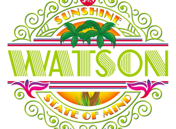 JS Watson Air - Lithia, FL