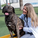 NewDay Veterinary Care University Blvd. - Veterinarians