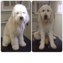 Spaw Grooming - Pet Grooming