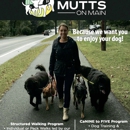 Mutts On Main - Pet Services