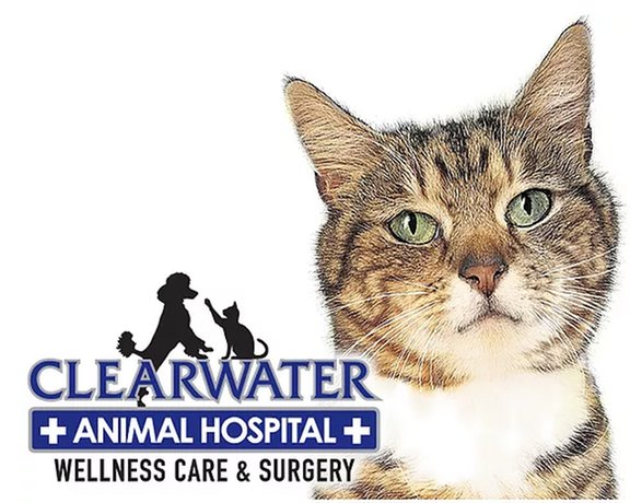 Clearwater Animal Hospital 615 Clearwater Ctr, Clearwater, MN 55320