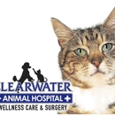 Clearwater Animial Hospital - Pet Services