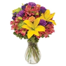 The Bud-N-Bloom Boutique - Florists