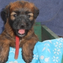 G Ralph Hoff DVM - Veterinary Clinics & Hospitals