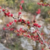 Bull Creek District Park gallery