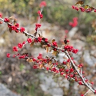 Bull Creek District Park