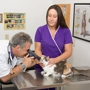 All Pet Animal Hospital