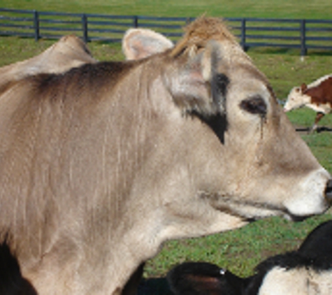 Crooked Creek Farm - Lapeer, MI