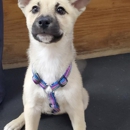 Platte Lake Veterinary Clinic - Veterinarians