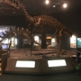 Delaware Museum of Natural History