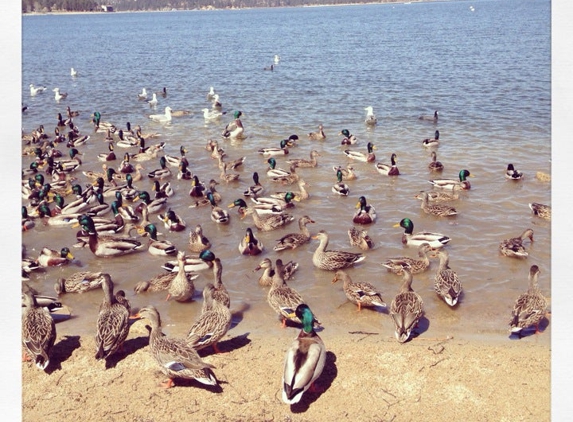 Pine Knot Marina - Big Bear Lake, CA