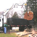 Greenleaf Services LLC - Arborists