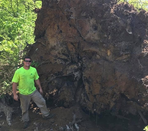 Old Mackey's Stump Grinding - White House, TN