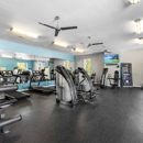 Holly Hills Apartments - Apartments