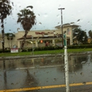 Walgreens - Pharmacies