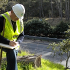 Evergreen Arborists Consultants